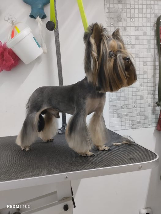 Брутальный жених ждёт своих девочек