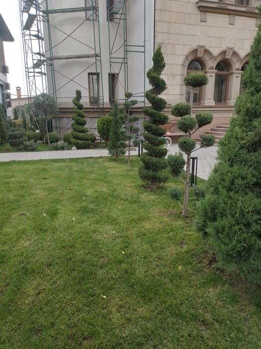 Садовник на обслуживание объектов