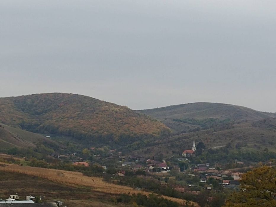 De vânzare: Teren 4500 mp în Vișea, Jucu – 6 €/mp