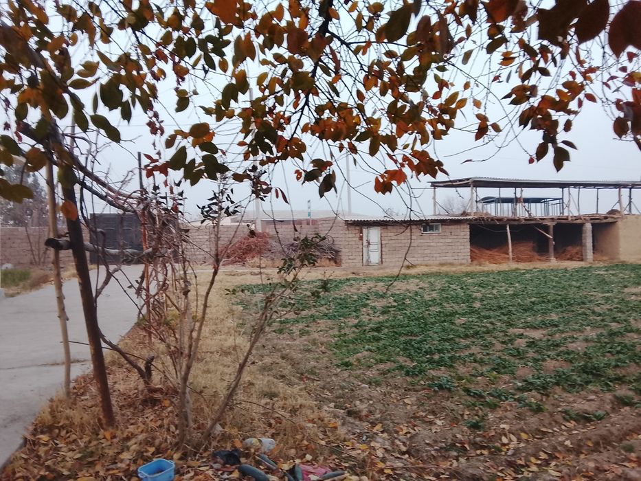 Йол устидан 8 сотих йеримиза сотуга чикти