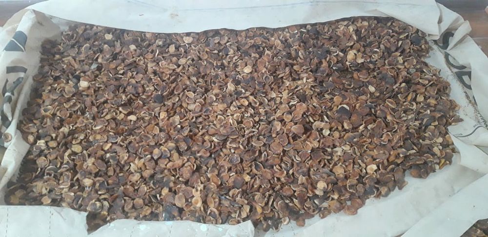 Продаётся урюк сушёный