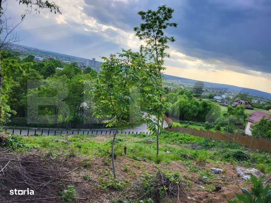 Teren intravilan, 1295 mp, oportunitate de investitie, zona Aleea Mana