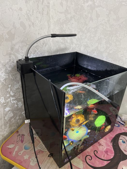 Аквариум со всеми принадлежнистями