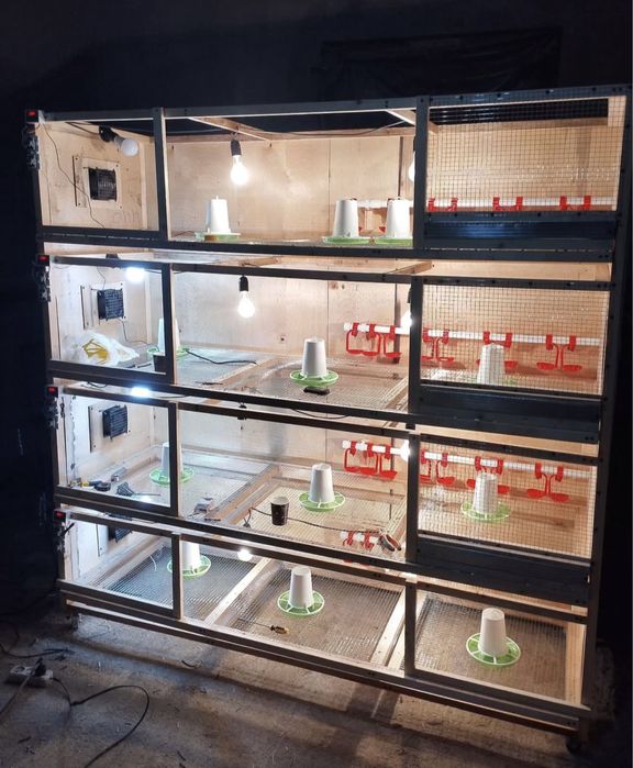 Жожа  брудер  унверсал термо лигулатор кулер