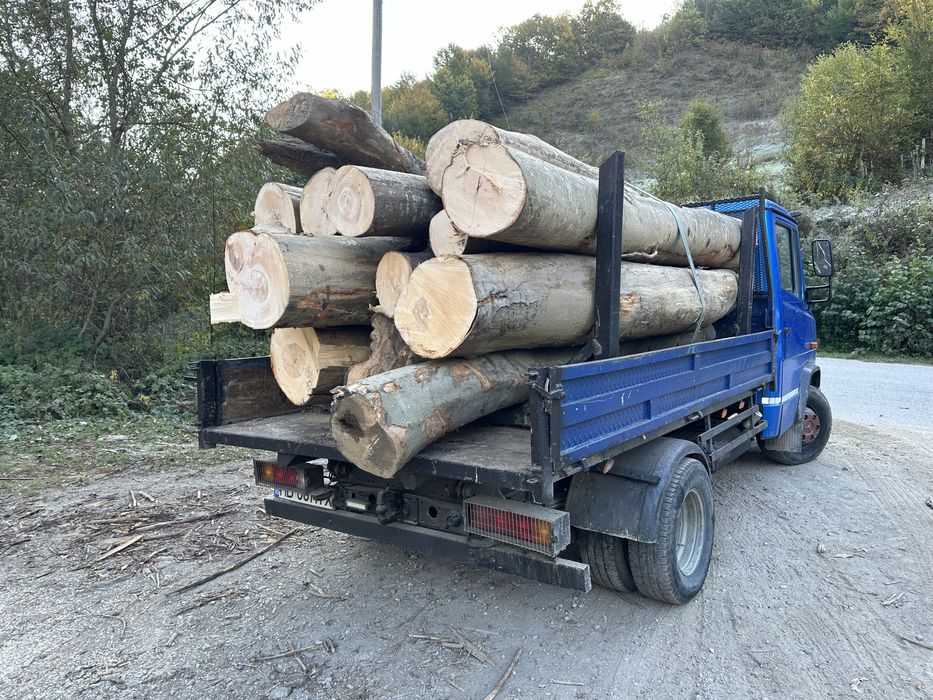 Lemn de foc 3,5CUB