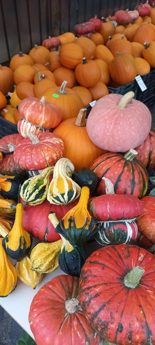 Dovleac Halloween și decorativ în Cluj