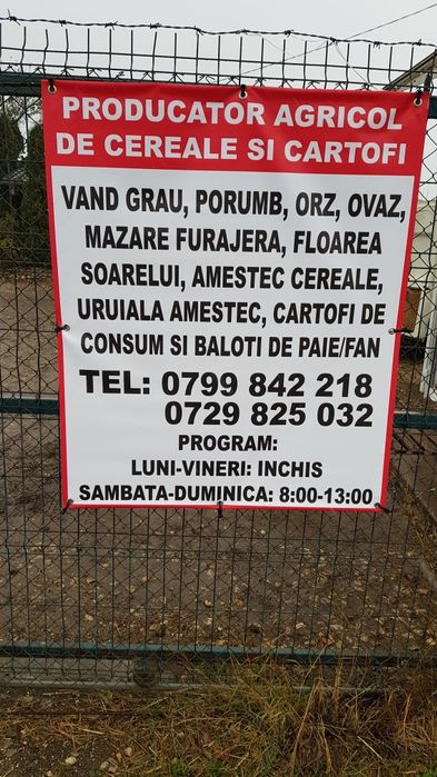 Vând ovăz ambalat în sacii