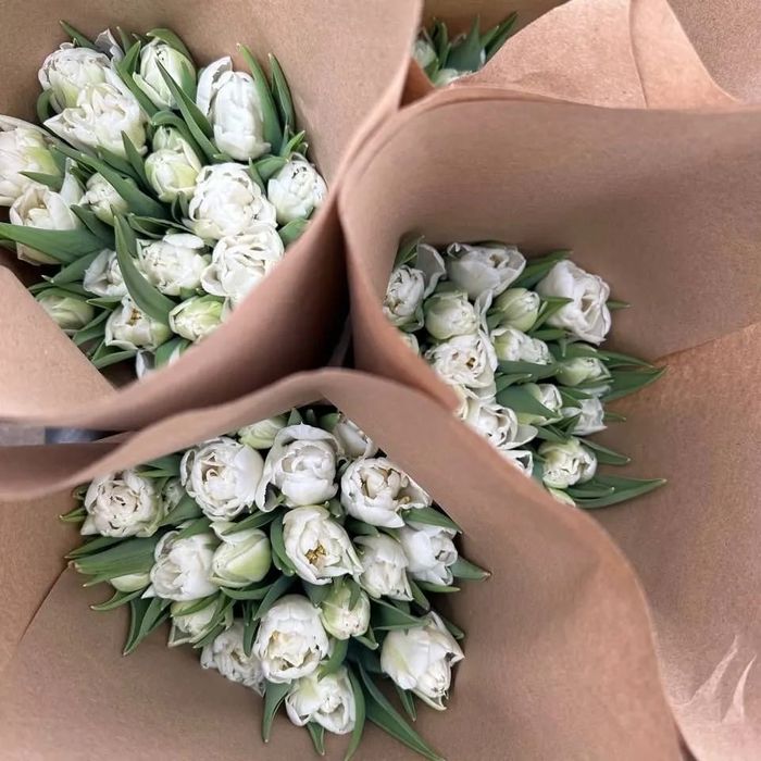 Тюлпаны оптом алматы