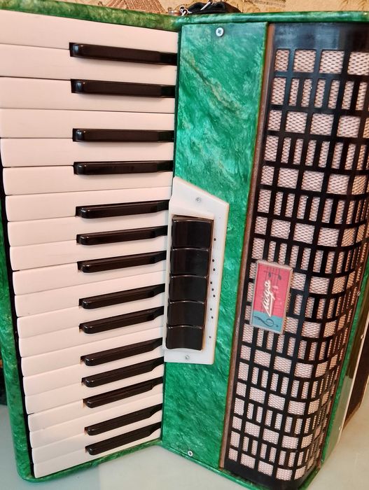 Аккордеон Березка