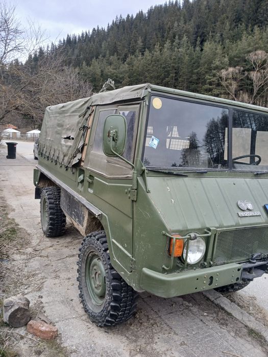 Stayer  Pinzgauer
