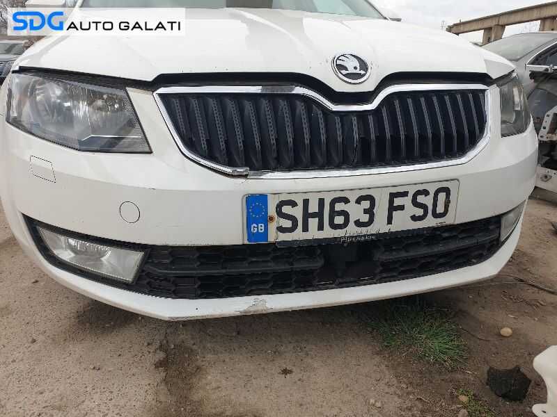 Ornament Grila Inferioara Cu Locas Distronic Skoda Octavia 3 2013 - 2017 [0327]
