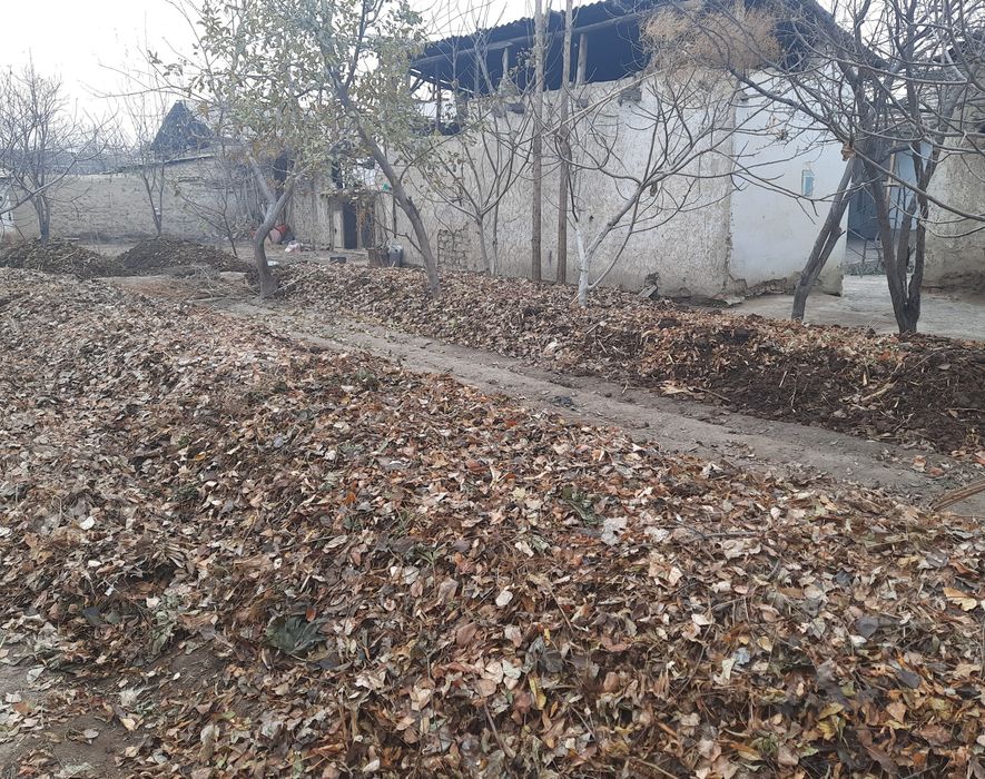 Биогумус ва Чувалчанг сотилади