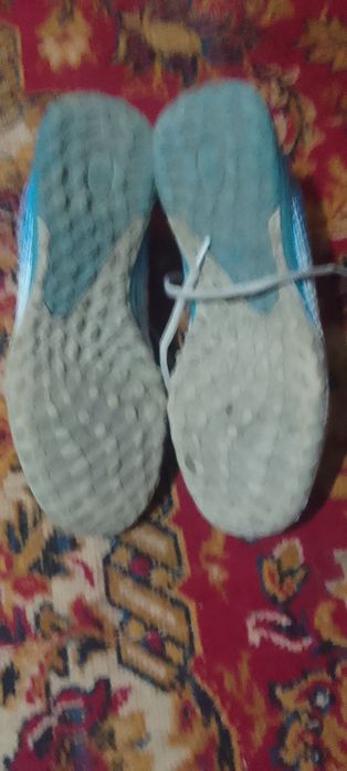 Сороконошки новые