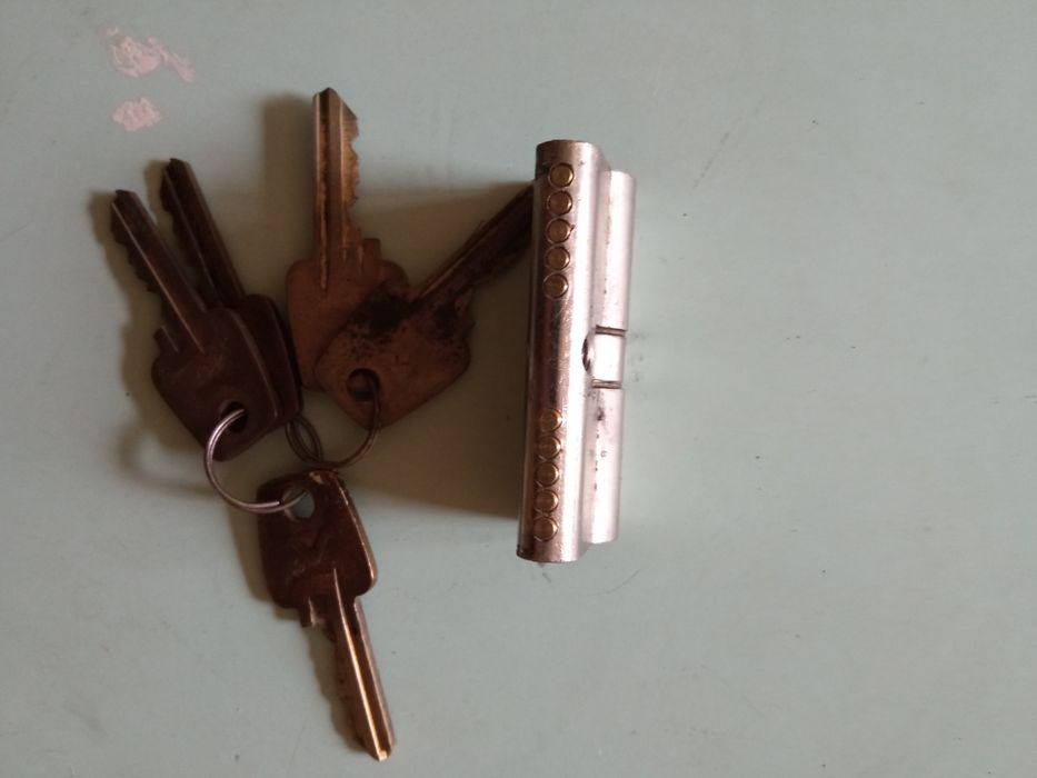 Личинка цилиндровый механизм для врезного замка с ключами