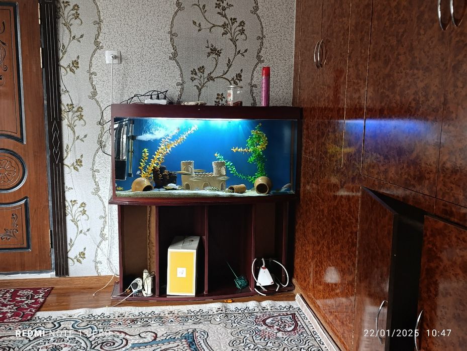 Akvarium balulari bilan yaxshilab oʻqila  vapwe ideal narsa va narx