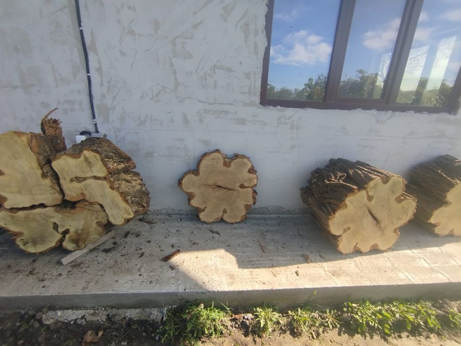 Rondele, felii de lemn din salcâm
