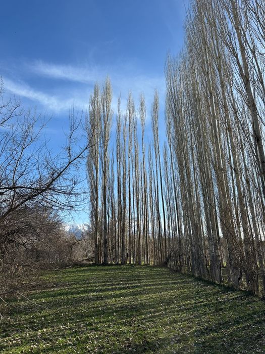 Продается участок в поселке Каскасу