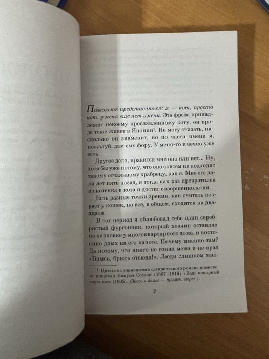 Книга хроники странствующего кота