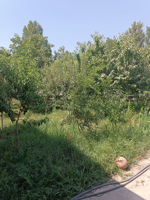 Участка сотилади янги тошкентда. Бардон куль кайтмас махалла.  10 сотх