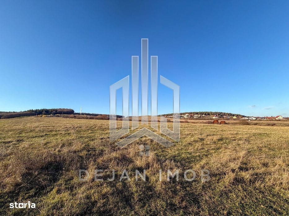 Teren Extravilan | 1.500 mp | Strada Pădurii