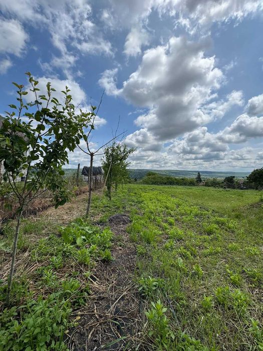 Teren 1797 mp în Dobrovăț (Ruși) – la pădure, cu investiții deja făcute