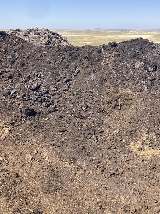 Перегной навоз,свежий навоз