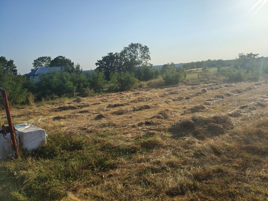 Teren intravilan lunca corbului sat Silișteni - Vedere 5