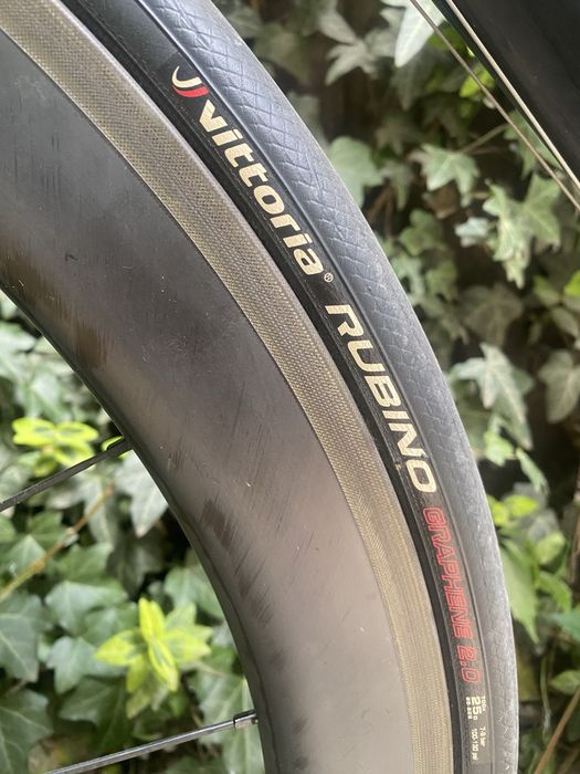 Bicicleta Carbon Cursiera