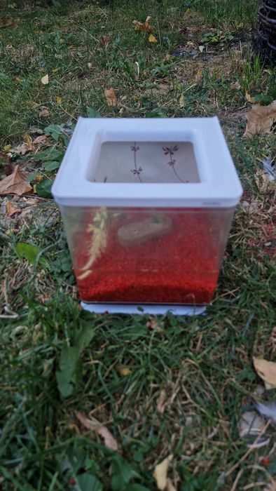 Acvariu de pești Marina beta kit