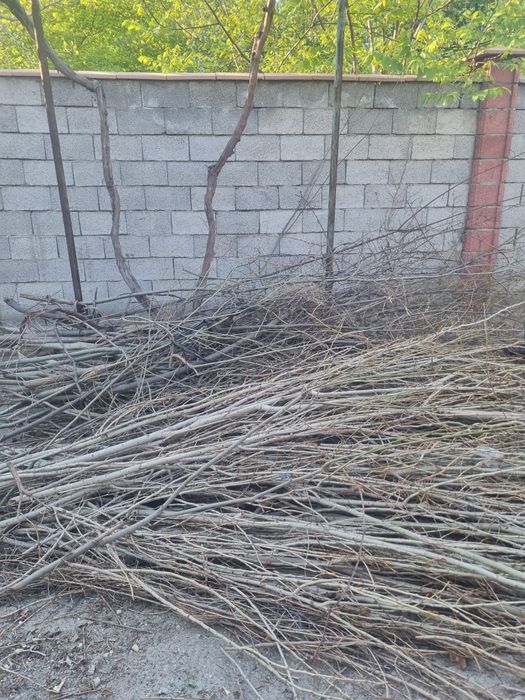 Утинлар сотилади