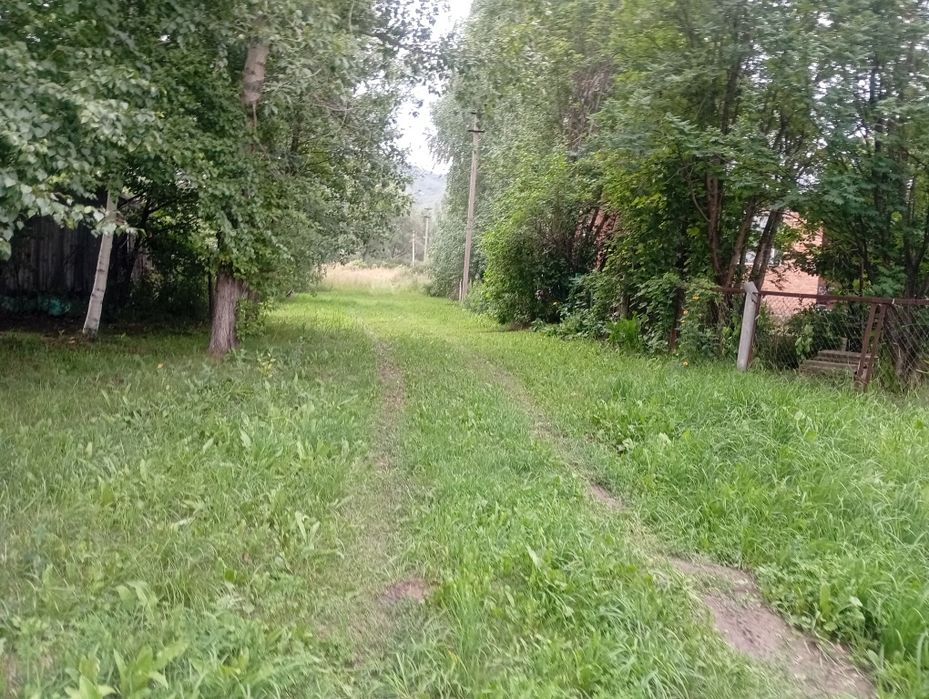 Дача с пасекой (за Тарханкой)