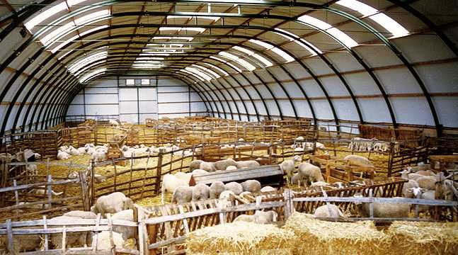 grajd  pentru animale  si fan 8m-9m -11m-12m latime