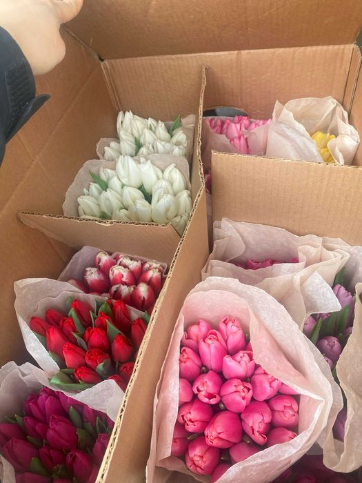Тюльпаны со склада от 295 тг