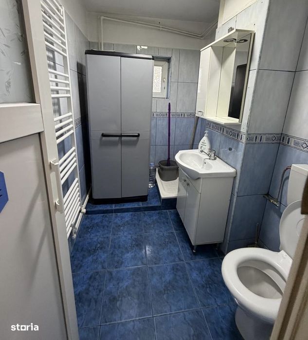 Spațiu comercial Brazda lui Novac