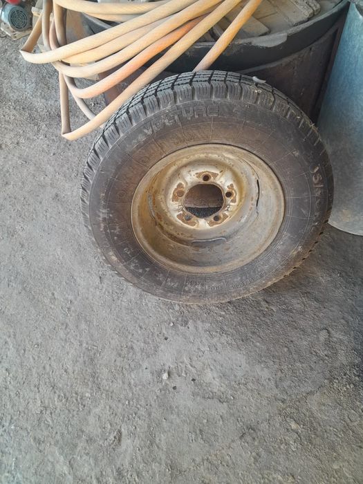 Дөңгелек волганігі