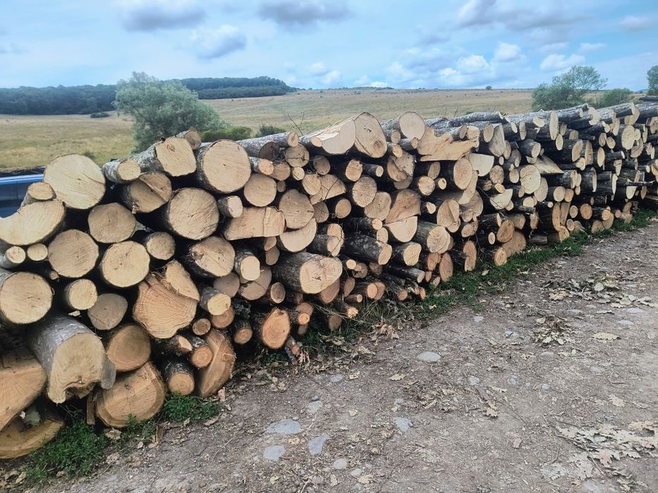 Vand lemne de foc esenta tare carpen cu fag transport la domiciliu