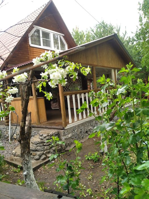 Сдам дома на Бухтарме