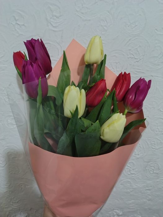 Тюльпаны красивые