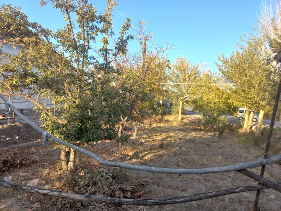 12 сотик 7 ханалы жер жай хожелы саманколапж 400млн сум келсып беремиз