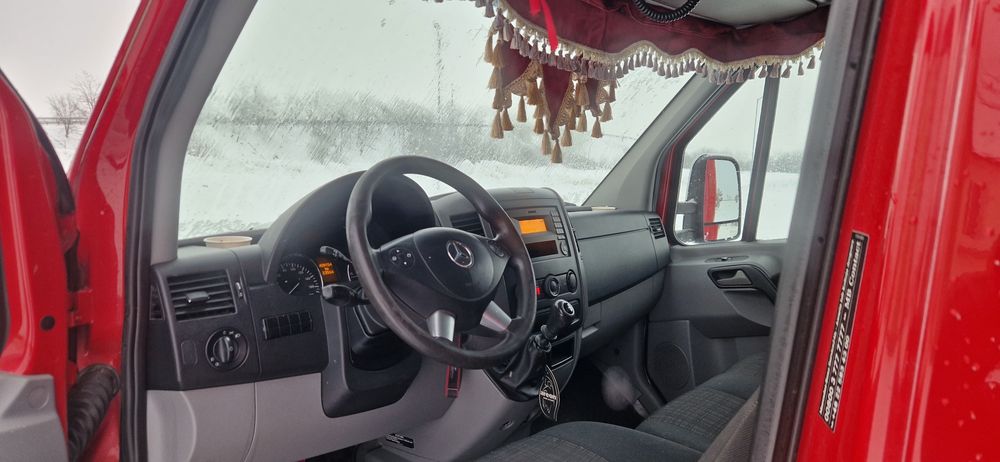 Mercedes sprinter 519 transport animale 518 516 iveco daily 35c17 35c1