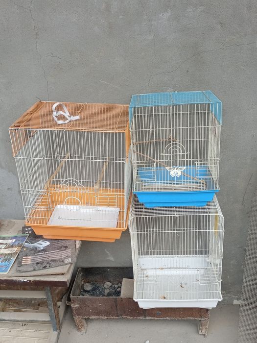 Продаются клетки