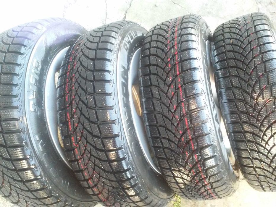 Зимни гуми, Dayton DW510