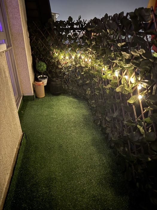 Caut coleg/colega de camera