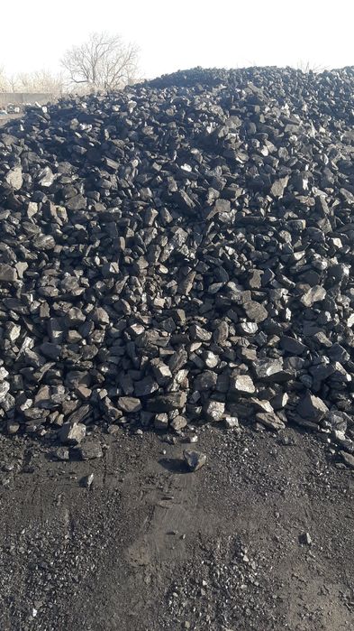 Уголь шубаркуль,кузнец, рапид