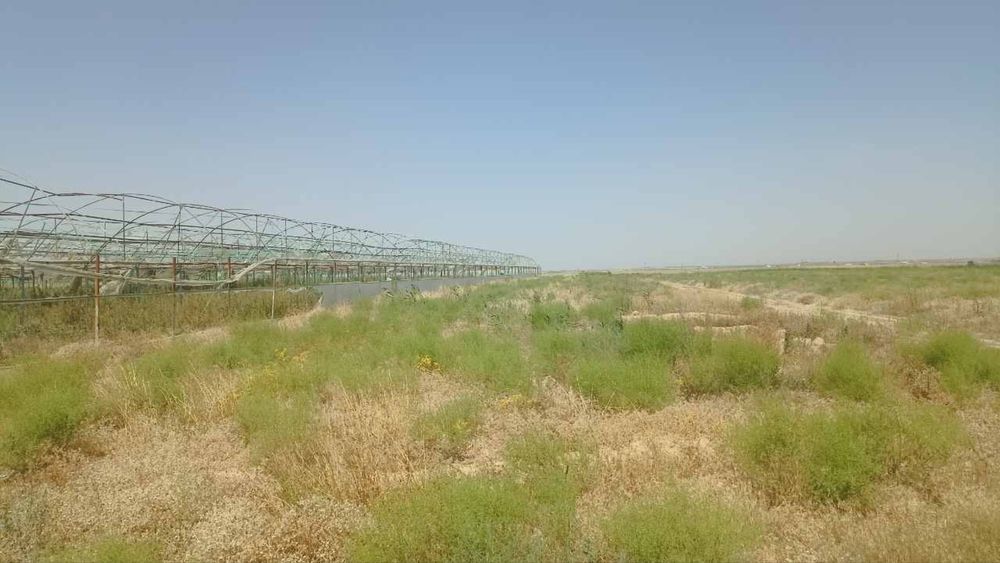 Issiqxona (parnik) materiallari sotiladi