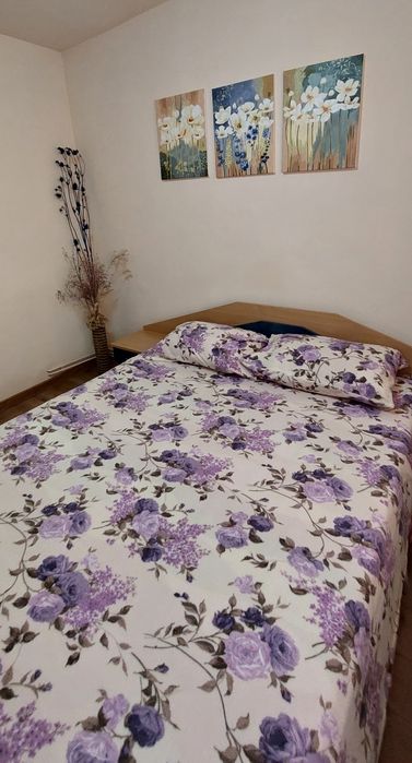 PF închiriez apartament 2 camere, Cluj-Napoca,  Mănăștur