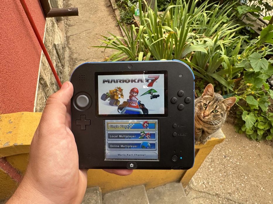 nintendo 2ds игра