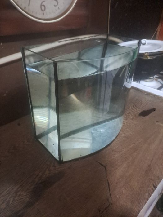 Продается понарамный аквариум