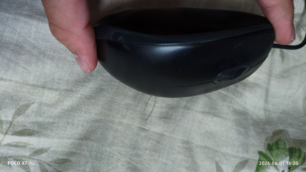 Мышка Logitech B100