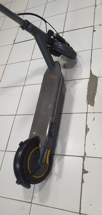 Xolati idial kelb korshilla mumkn